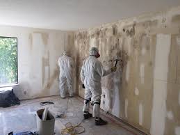 Mold Removal for HVAC Installations in Lake Shore, UT